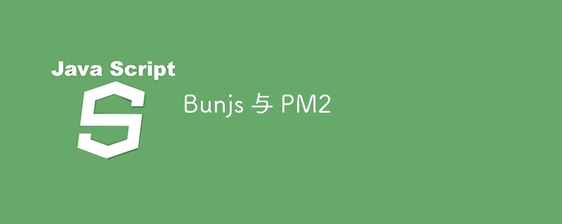 bunjs 与 pm2