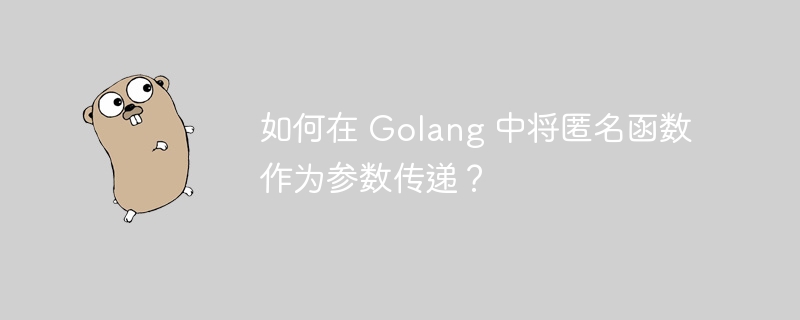 如何在 Golang 中将匿名函数作为参数传递？