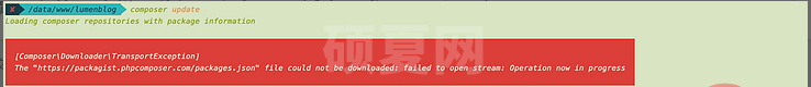 解决问题：composer failed to open stream: Operation now in progress