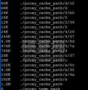 Debian下搭建Nginx和Tomcat服务器实现负载均衡的方法