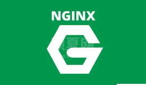 Linux怎么查看nginx版本