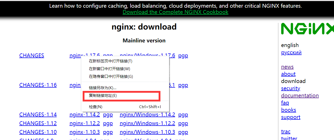 centos8安装nginx实例分析