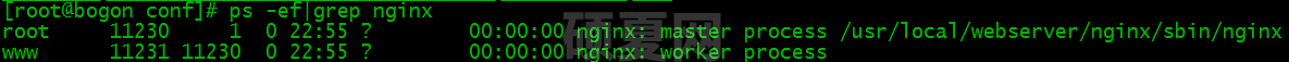 Linux服务器下该怎么安装配置Nginx