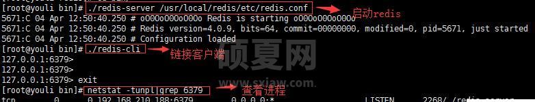 Linux系统怎么安装Redis