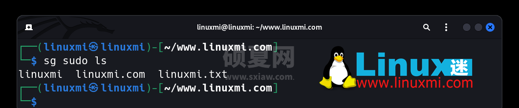 有趣的宝藏！六个独特而惊人的 Linux 实用工具