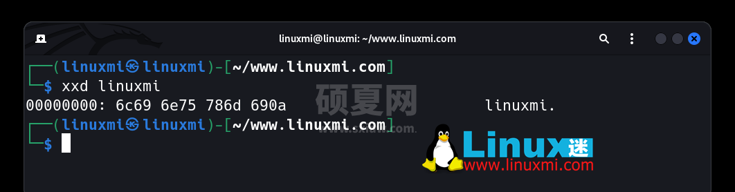 有趣的宝藏！六个独特而惊人的 Linux 实用工具