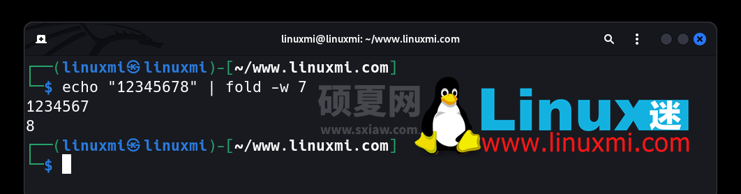 有趣的宝藏！六个独特而惊人的 Linux 实用工具