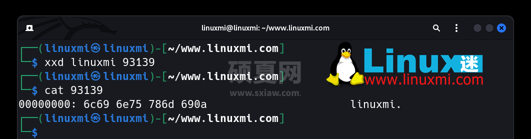 有趣的宝藏！六个独特而惊人的 Linux 实用工具