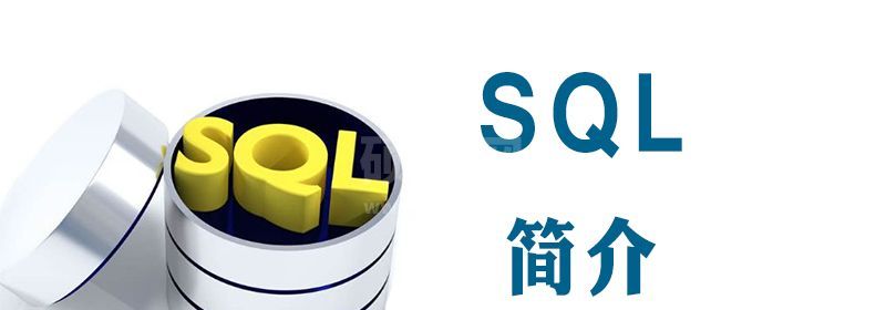 sql指的是什么