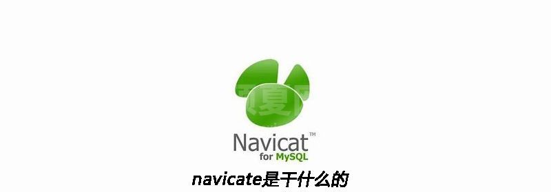 navicate是干什么的