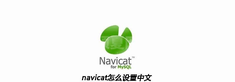 navicat怎么设置中文