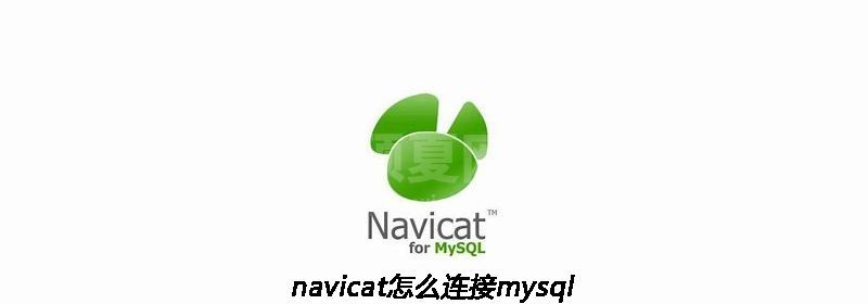 navicat怎么连接mysql