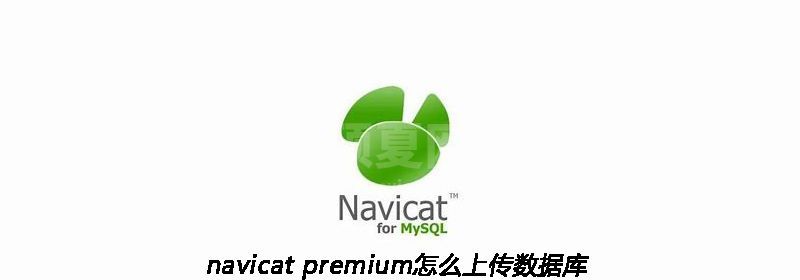 navicat premium怎么上传数据库