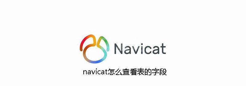 navicat怎么查看表的字段