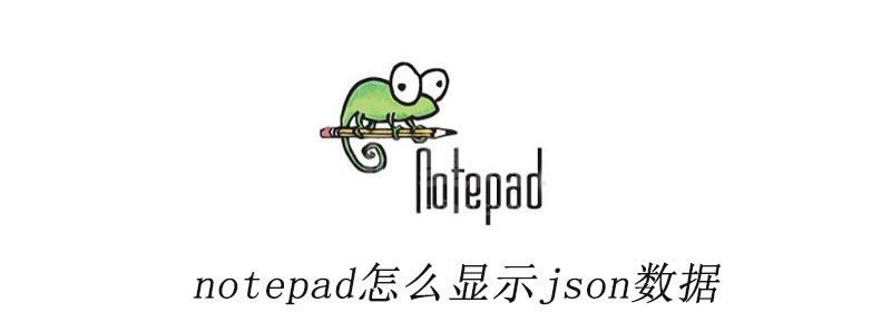 notepad怎么显示json数据