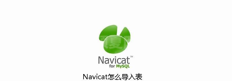 Navicat怎么导入表