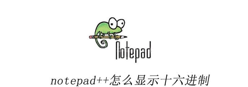 notepad++怎么显示十六进制