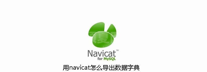 用navicat怎么导出数据字典