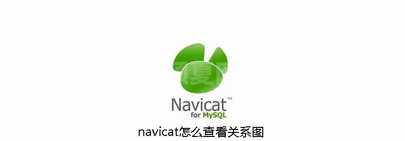 navicat怎么查看关系图