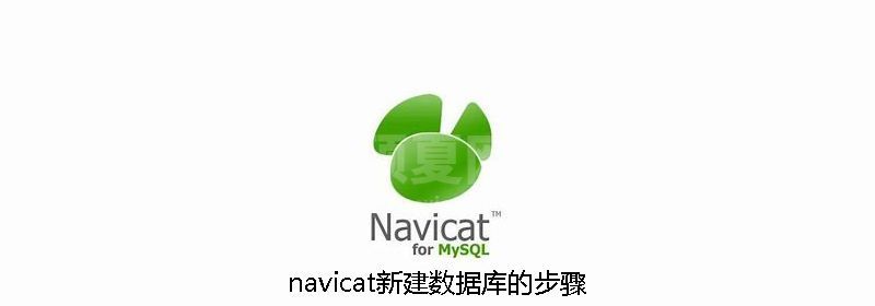 navicat新建数据库的步骤