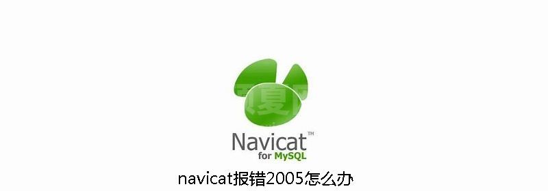 navicat报错2005怎么办