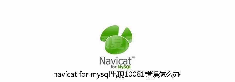 navicat for mysql出现10061错误怎么办