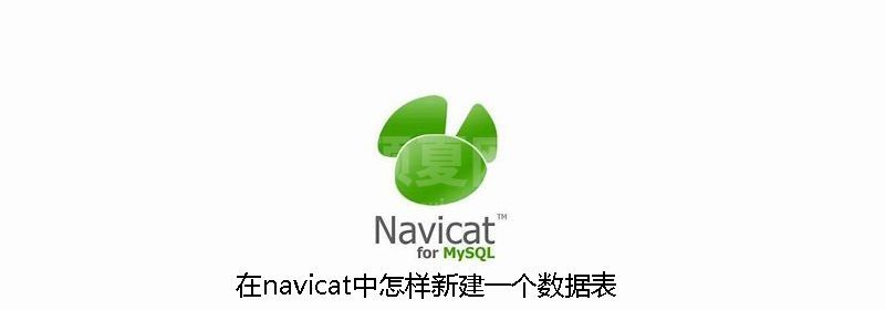 在navicat中怎样新建一个数据表