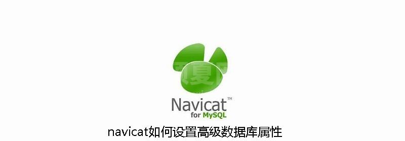 navicat如何设置高级数据库属性