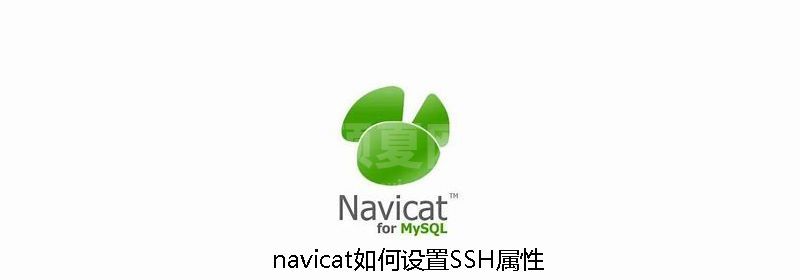 navicat如何设置SSH属性