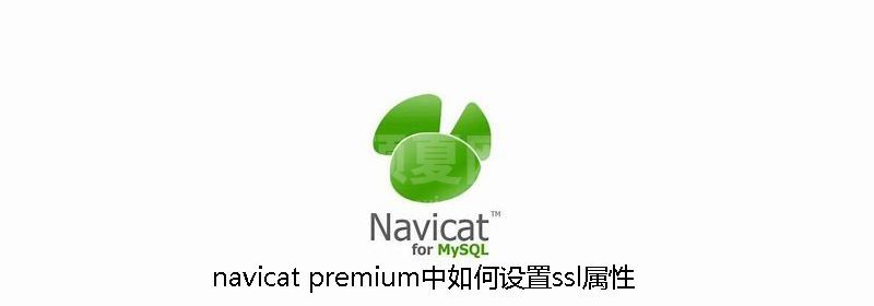 navicat premium中如何设置ssl属性