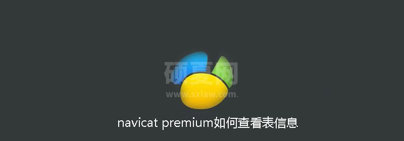 navicat premium如何查看表信息