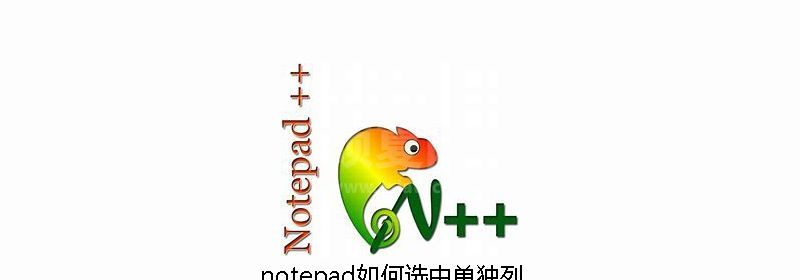 notepad如何选中单独列