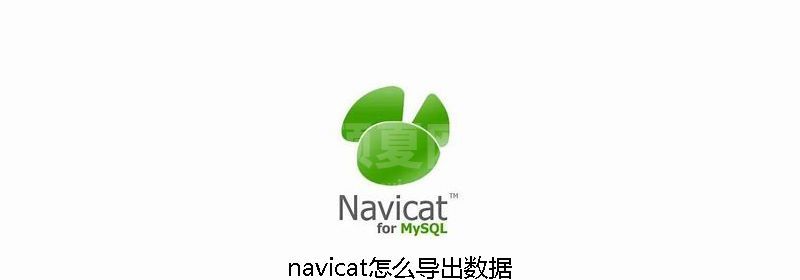 navicat怎么导出数据