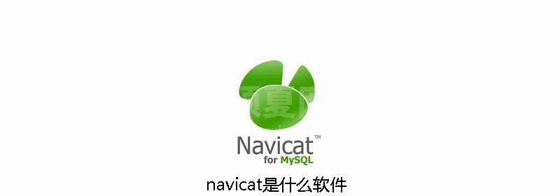 navicat是什么软件