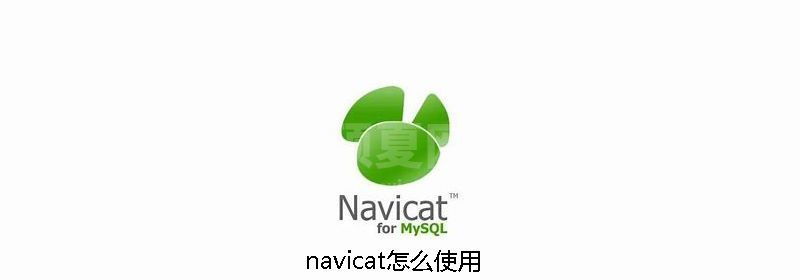 navicat怎么使用