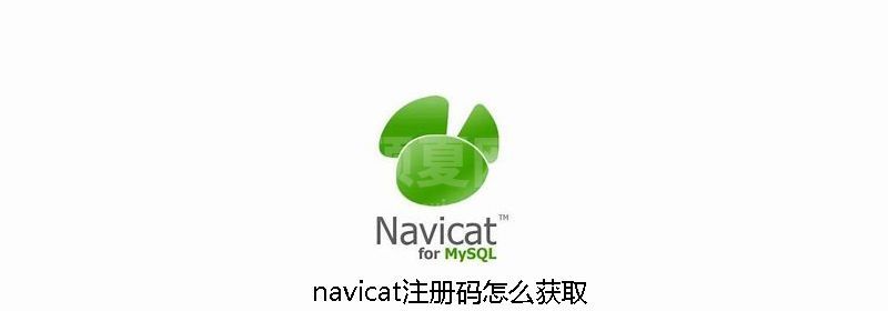 navicat注册码怎么获取