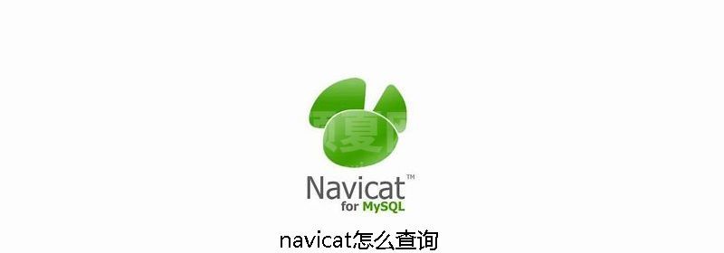 navicat怎么查询