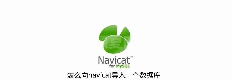 怎么向navicat导入一个数据库