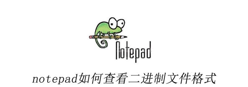 notepad++如何查看二进制文件格式