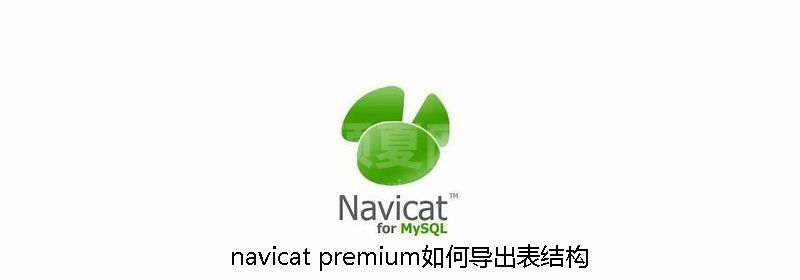 navicat premium如何导出表结构