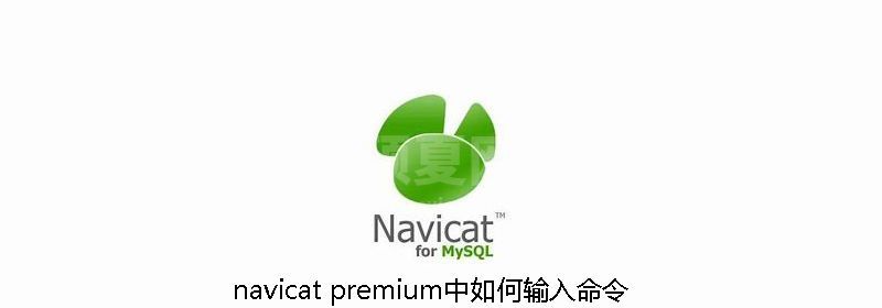 navicat premium中如何输入命令