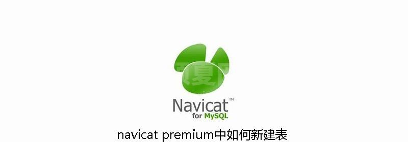 navicat premium中如何新建表