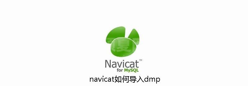 navicat如何导入dmp