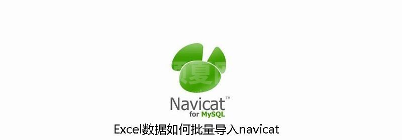 Excel数据如何批量导入navicat