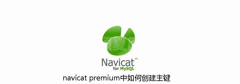 navicat premium中如何创建主键