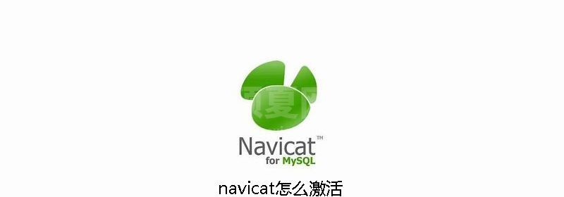 navicat怎么激活