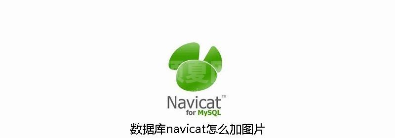 数据库navicat怎么加图片