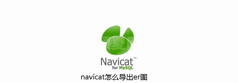 navicat怎么导出er图