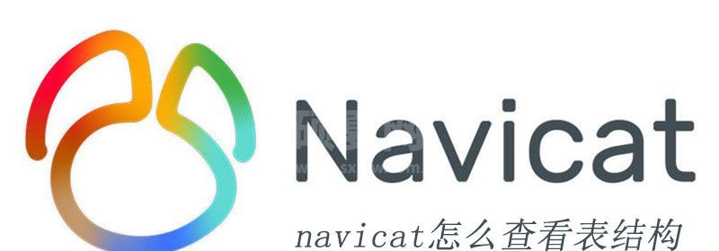 navicat怎么查看表结构