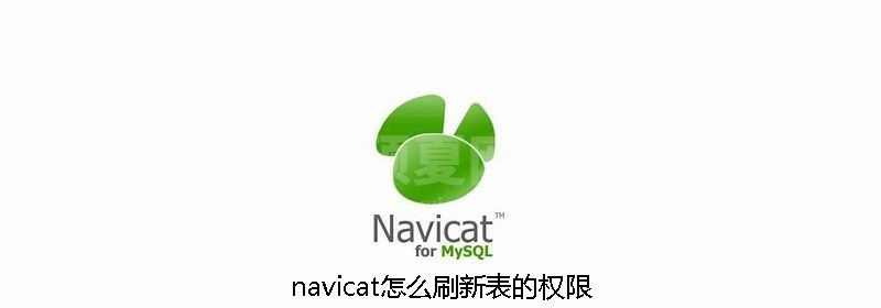 navicat怎么刷新表的权限